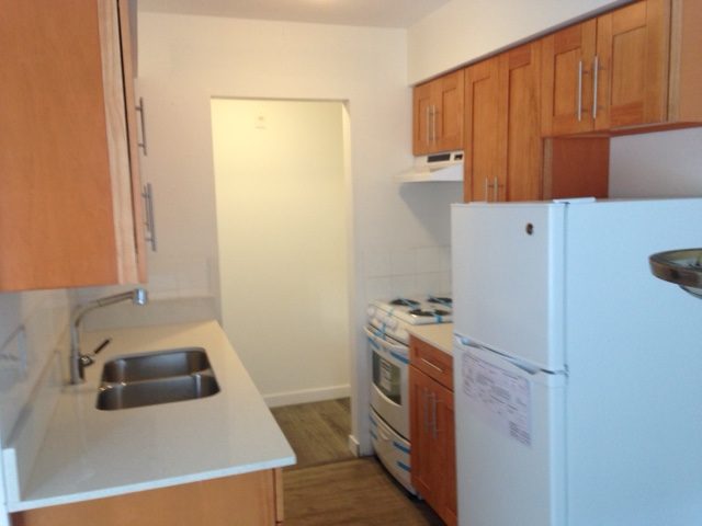 NEWLY RENOVATED 1 Bed 1 Bath in Marpole